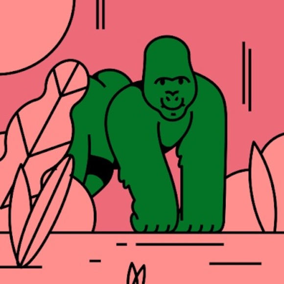 Meet your Posher, Bailee - Picture 1 of 1